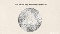 Bisa Lihat Gambar Tersembunyi Ini? Selamat! Tandanya Kamu Nggak Buta Warna