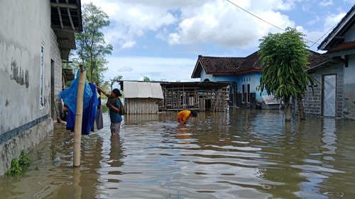 Banjir merendam puluhan rumah warga Dusun Kaliantan, Desa Seriwe, Kecamatan Jerowaru, Lombok Timur, NTB, Senin (2/2/2026) akibat Embung Bedang meluap. (Sanusi Ardi W/detikBali)