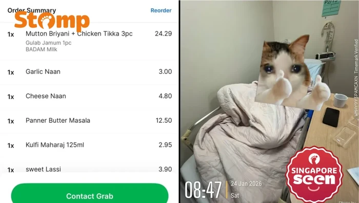 Gegara Makan Nasi Biryani, Wanita Ini Keracunan Sampai 8 Kali Muntah!