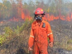 Waspada Karhutla saat Kemarau 2026, Pakar UGM Soroti Praktik Bakar Lahan