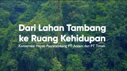 Dari Tambang ke Kehidupan, Konservasi Hayati Pascatambang PT Timah & PT Antam