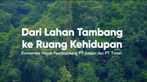 Dari Tambang ke Kehidupan, Konservasi Hayati Pascatambang PT Timah & PT Antam
