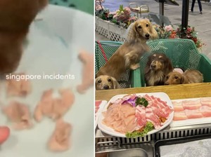 Kontroversi Anjing Makan Daging di Resto Hot Pot, Begini Tindakan Pengelola
