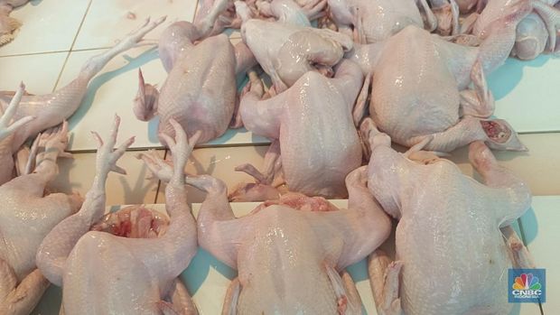 Pantauan harga komoditas pangan di Pasar Rumput, Jakarta Selatan, Senin (2/2/2026). (CNBC Indonesia/Martyasari Rizky)