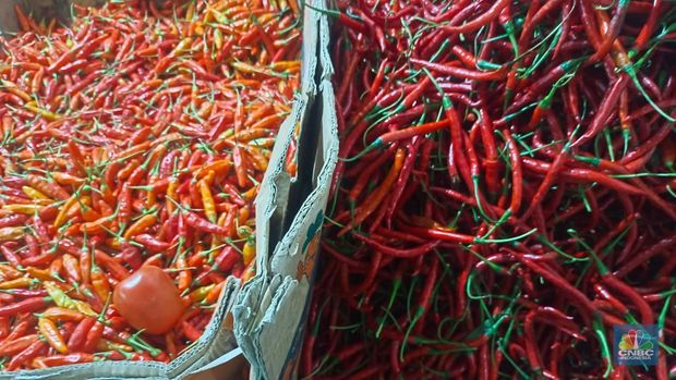 Pantauan harga komoditas pangan di Pasar Rumput, Jakarta Selatan, Senin (2/2/2026). (CNBC Indonesia/Martyasari Rizky)