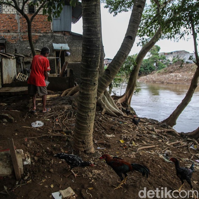 Pembebasan Lahan Jadi Kunci Normalisasi Ciliwung
