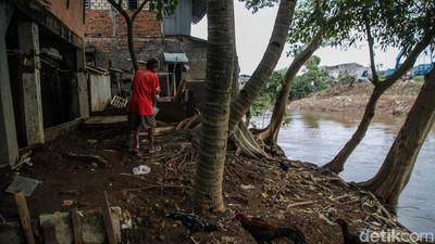 Pembebasan Lahan Jadi Kunci Normalisasi Ciliwung