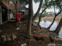 Pembebasan Lahan Jadi Kunci Normalisasi Ciliwung