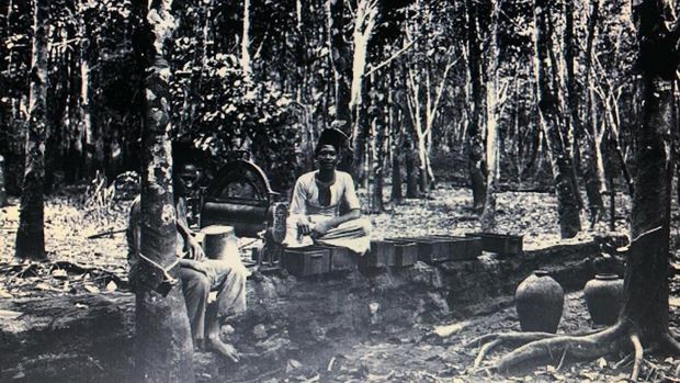 Perkebunan karet HM Yusuf Saigon di Kampung Saigon Pontianak tempo doeloe Perkebunan karet HM Yusuf Saigon di Kampung Saigon Pontianak tempo doeloe.