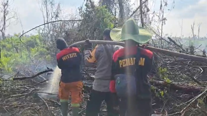 Polisi Pergoki Pembakar Lahan di Dumai, Pelaku Langsung Ditangkap
