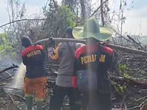 Polisi Pergoki Pembakar Lahan di Dumai, Pelaku Langsung Ditangkap