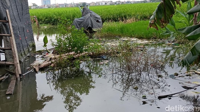 Banjir Ubah Petak Sawah di Jakarta Jadi Kolam Pemancingan Petani