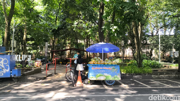 Sensasi Menyegarkan Minum Air Kelapa Kala Rehat Olahraga di Saparua Sensasi Menyegarkan Minum Air Kelapa Kala Rehat Olahraga di Saparua