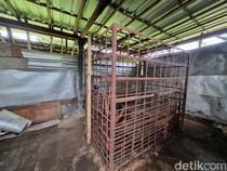 Dinkes Ponorogo Catat 2.188 Warga Idap Skizofrenia, Klaim Zero Pasung
