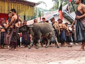 Bius, Sistem Pemerintahan Tradisional Orang Batak Toba Sebelum Negara Modern