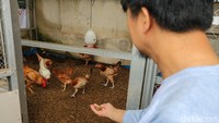 Melalui kegiatan pertanian dan perikanan ini, para anggota didorong memiliki sumber penghasilan tambahan yang berkelanjutan.