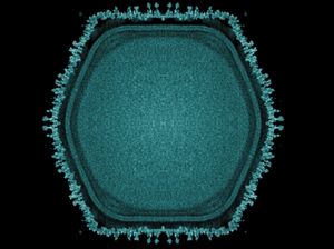 Virus Raksasa Ditemukan, Bisa Beri Petunjuk Evolusi Kehidupan