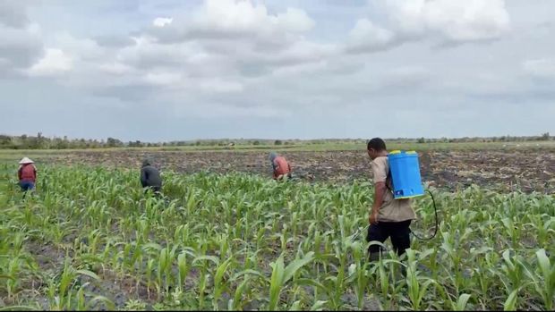 Aipda Iwan Haryanto membina petani untuk ketahanan pangan di Ogan Ilir, Sumsel