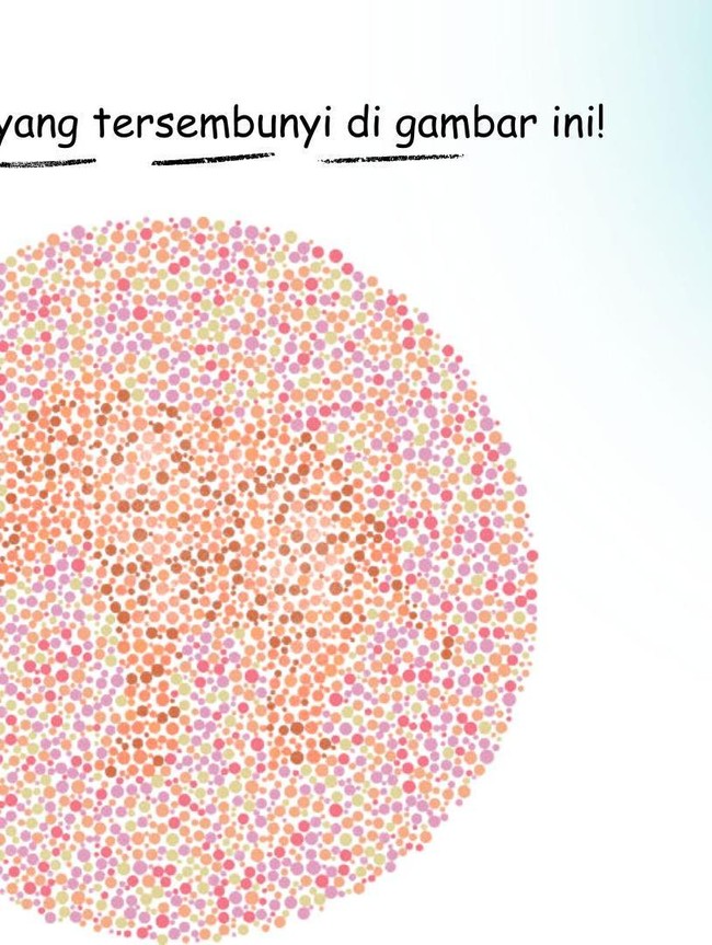 Mampu Temukan Hewan Tersembunyi di Gambar Ini dalam Hitungan Detik?