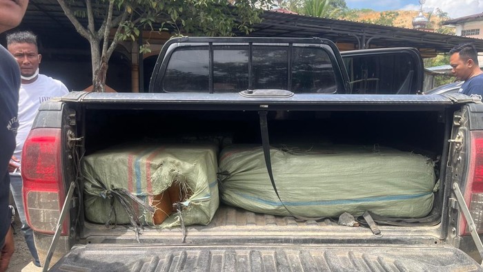 BNN Ungkap 200 Kg Ganja di Sumut, Selamatkan 600 Ribu Jiwa dari Penyusup!