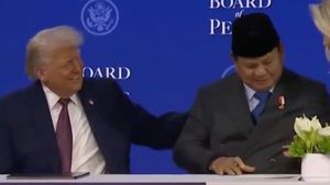 Video: Menyoroti Dampak Masuknya RI ke Board of Peace