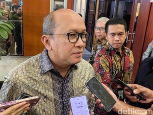 Rosan Ungkap PT DSI Bakal Dipimpin Luke Thomas Mahony