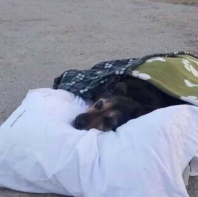 Foto Kiriman Netizen Punya Cerita Menarik hingga Mencengangkan