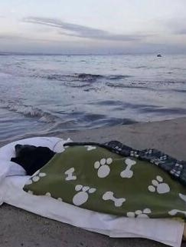 Foto Kiriman Netizen Punya Cerita Menarik hingga Mencengangkan