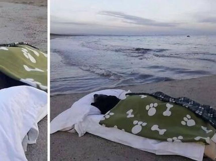 Foto Kiriman Netizen Punya Cerita Menarik hingga Mencengangkan