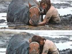 Foto Kiriman Netizen Punya Cerita Menarik hingga Mencengangkan