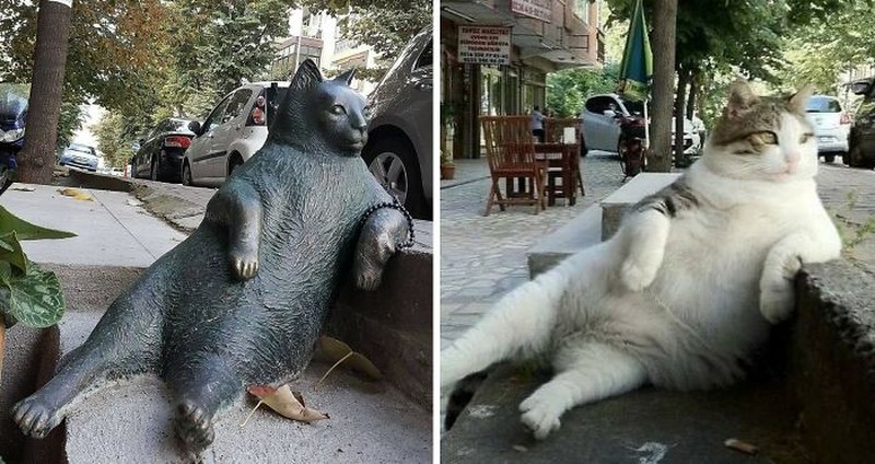 Foto Biasa Punya Cerita Menarik
