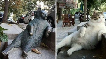 Sebuah patung di Istanbul, Turki, untuk menghormati Tombili, seekor kucing liar yang terkenal. Ia biasa duduk dalam posisi ini dan mengamati orang-orang yang lewat. Foto: Boredpanda