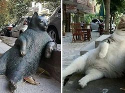 Foto Kiriman Netizen Punya Cerita Menarik hingga Mencengangkan