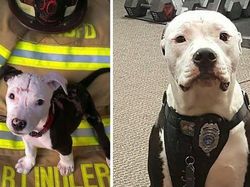 Foto Kiriman Netizen Punya Cerita Menarik hingga Mencengangkan