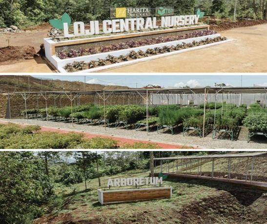 Loji Central Nursery