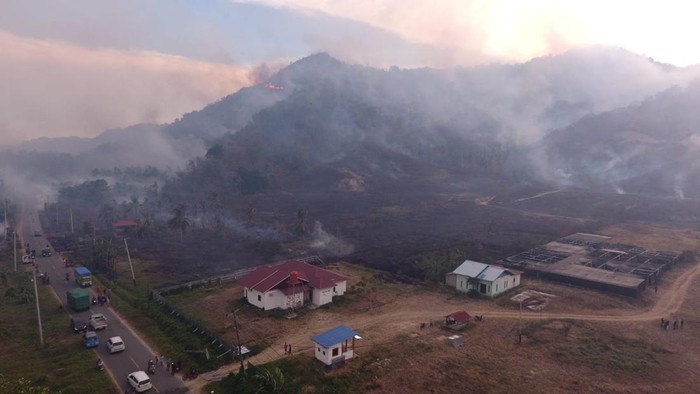 20 Hektare Lahan Terbakar di Parigi Moutong, Api Belum Padam