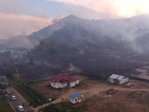 Karhutla di Parimo Meluas 147 Hektare, 334 Personel Dikerahkan Padamkan Api