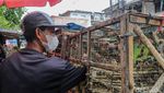 Permintaan Burung Meningkat Tajam Jelang Imlek 2026 di Kawasan Glodok
