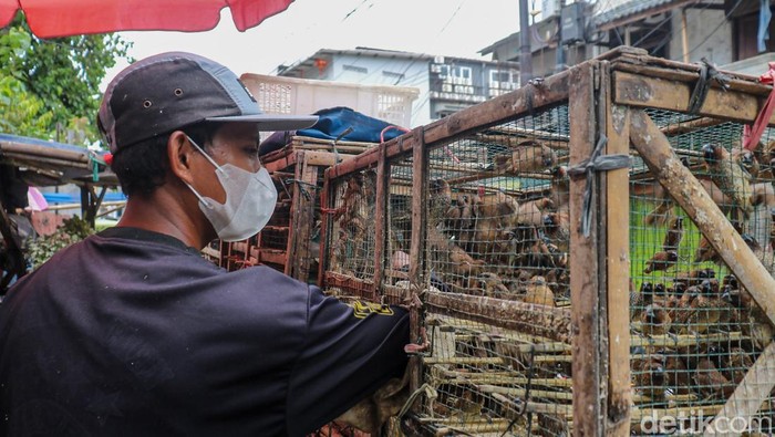 Pedagang burung melayani pembeli di sekitar Wihara Dharma Bhakti, Glodok, Jakarta Barat, Selasa (3/2/2026), menjelang perayaan Tahun Baru Imlek 2026.