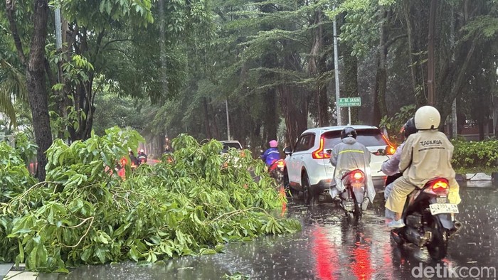 Pohon tumbang tutup sebagian ruas jalan di Jalan Polisi Istimewa. Genteng tersapu angin di Jalan Pakis.