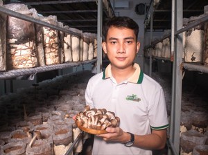 Punya 3 Gelar Sarjana, Pria Ini Lebih Pilih Budidaya Jamur