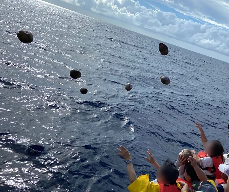 Tradisi lempar kelapa ke laut di Jepang