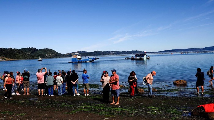 Locals and tourists pull a house which was previously floated with air buoys and brought through the water fastened to a boat during a communal practice on Chile's Chiloe archipelago, called Minga, where neighbors collaboratively move a wooden house to a new location, at Lemuy island, Chile, January 31, 2026. REUTERS/Amilix Fornerod     TPX IMAGES OF THE DAY