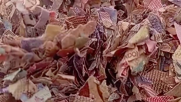 Cacahan diduga dari uang kertas pecahan Rp 100 ribu dan Rp 50 ribu di TPS liar di Kecamatan Setu, Kabupaten Bekasi, bikin geger. (dok Pribadi/Rido S)