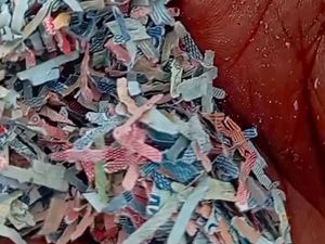 Video Kronologi Penemuan Cacahan Uang Kertas di TPS Ilegal Bekasi