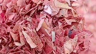 Awal Mula Temuan Cacahan Kertas Diduga Uang di TPS Bekasi