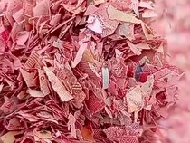 Heboh Cacahan Mirip Uang di TPS Liar, Polisi Amankan 21 Karung