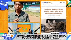 Video: Usut Pria Tendang Kucing hingga Mati di Blora, Polisi Gandeng Dokter Hewan