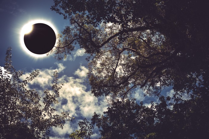 Amazing scientific natural phenomenon. Diamond ring, prominence and internal corona. Total solar eclipse glowing on blue sky above silhouette of trees, serenity nature. Abstract fantastic background.