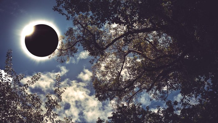 Gerhana Matahari Cincin Api terjadi pada 17 Februari 2027. Wilayah mana saja yang bisa melihat?